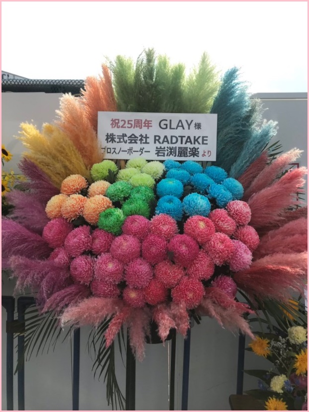 岩渕麗楽画像